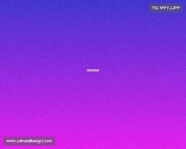 技术官员包括什么