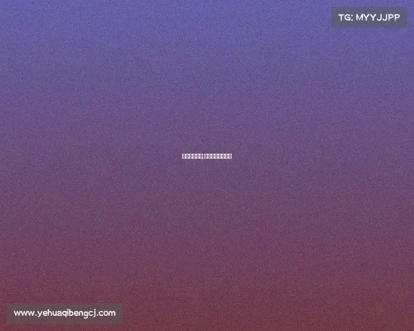 武术赛事观察;观看武术比赛作文